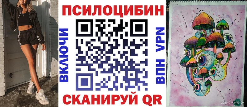 Псилоцибиновые грибы Psilocybine cubensis  Протвино 